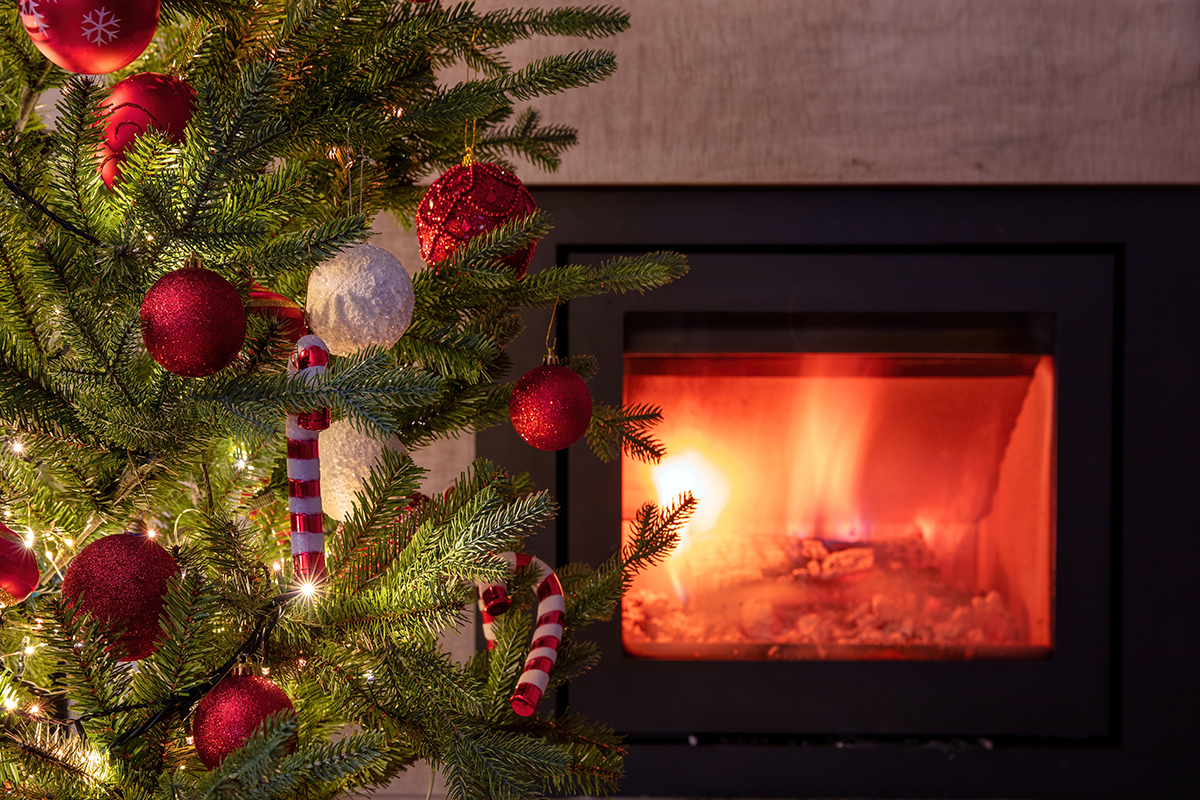 Wood burning stove and Christmas Tree