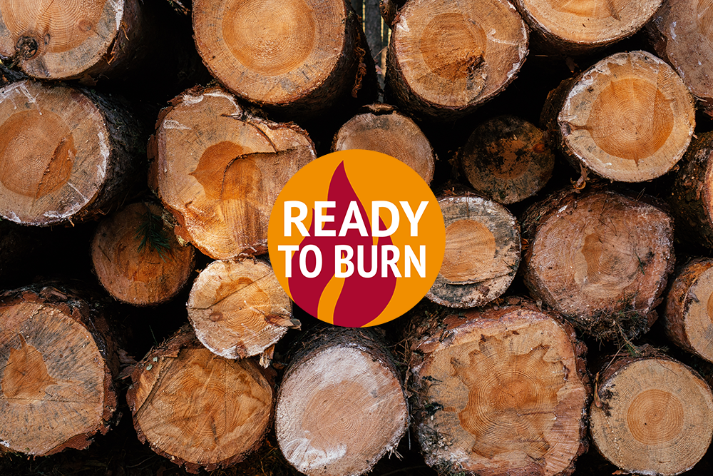 Ready to burn logo and logs